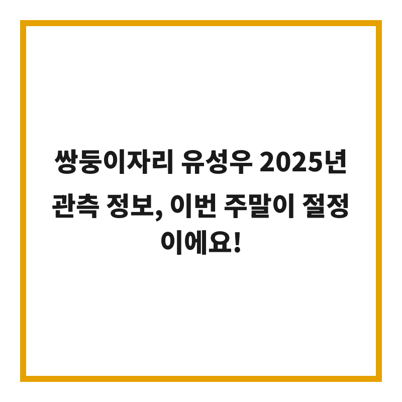 쌍둥이자리 유성우 2025년 관측 정보, 이번 주말이 절정이에요!
