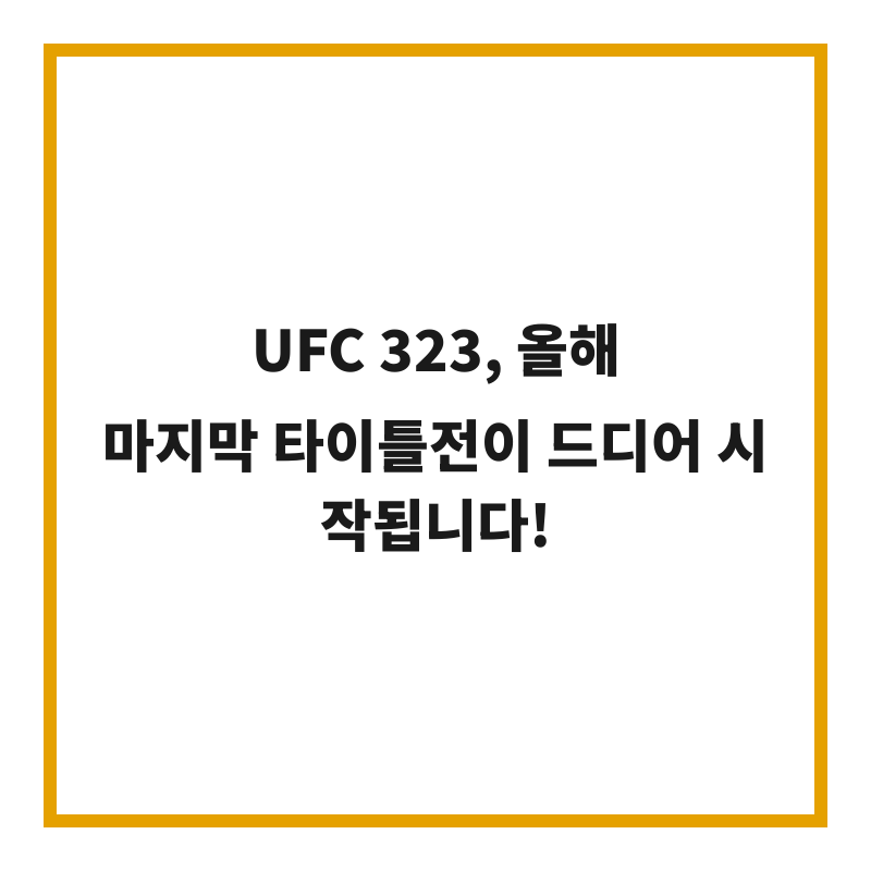 UFC 323, 올해 마지막 타이틀전이 드디어 시작됩니다!
